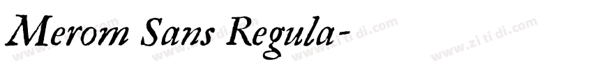 Merom Sans Regula字体转换